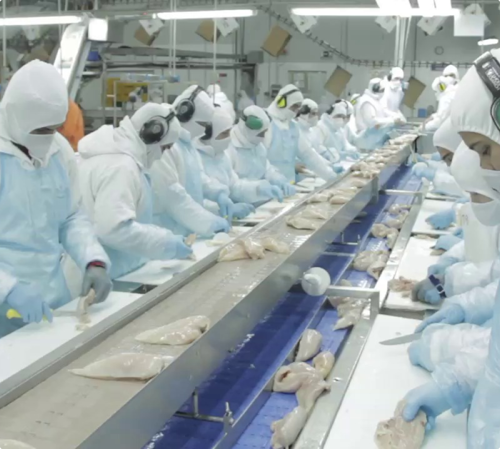 Industria 1